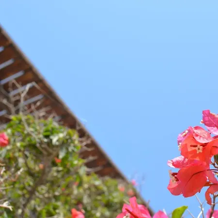 Theodoti Tatil Evi *
