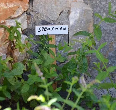 Vakantiehuis Theodoti *